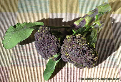 Beautiful Purple Broccoli from the Farmers Market