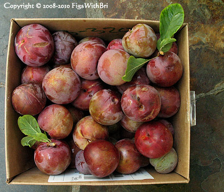 One box of our 2008 'Flavor Supreme' pluot's harvest