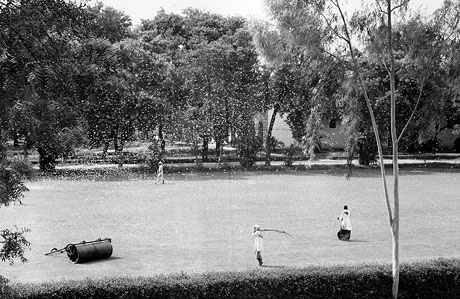 photo of 1962 Locusts swarm in Lahore Pakistan