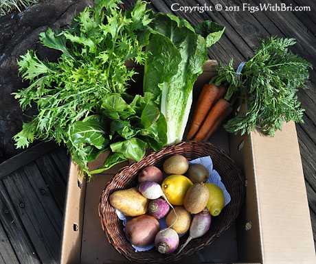 valley end farm's late january small box CSA delivery