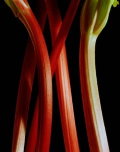 rhubarb stalks