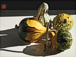 vegetable art print 4 decorative gourds with shadows