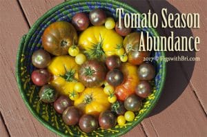 organic heirloom tomatoes in basket, photo copyright 2017 cynthe brush